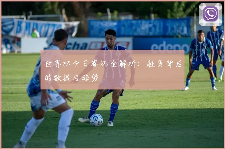 世界杯今日赛况全解析：胜负背后的数据与趋势