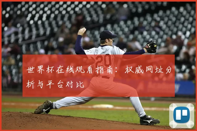 世界杯在线观看指南：权威网址分析与平台对比