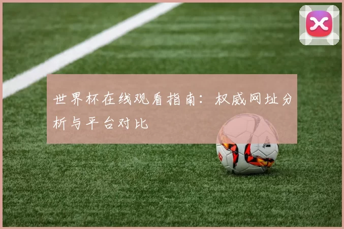 世界杯在线观看指南：权威网址分析与平台对比