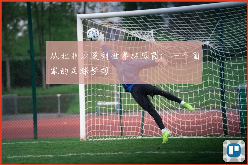 从北非沙漠到世界杯绿茵:一个国家的足球梦想