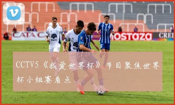 CCTV5《我爱世界杯》节目聚焦世界杯小组赛看点