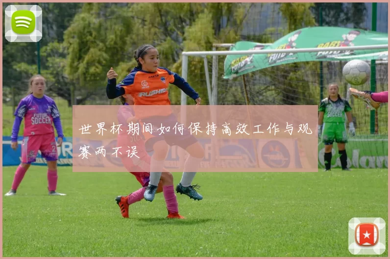 世界杯期间如何保持高效工作与观赛两不误