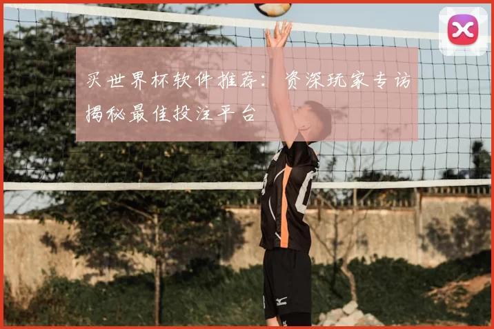 买世界杯软件推荐:资深玩家专访揭秘最佳投注平台
