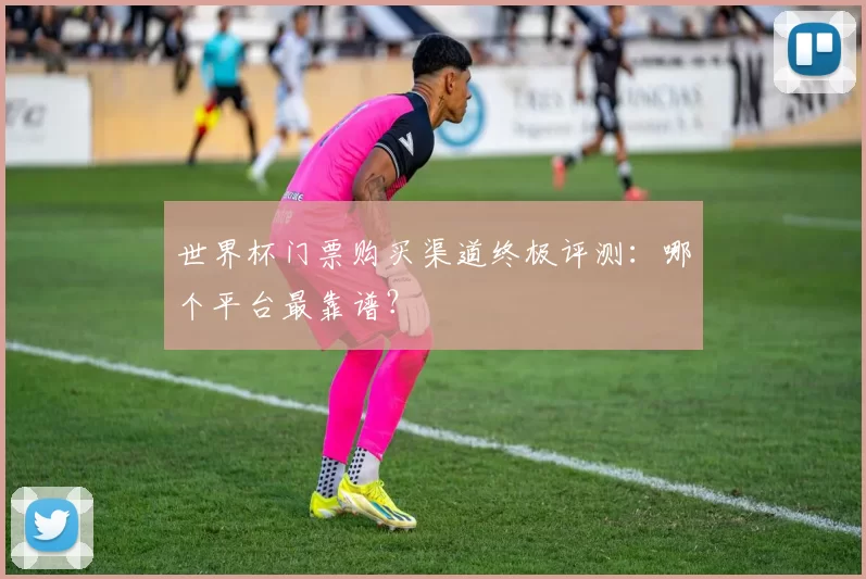 世界杯门票购买渠道终极评测：哪个平台最靠谱？