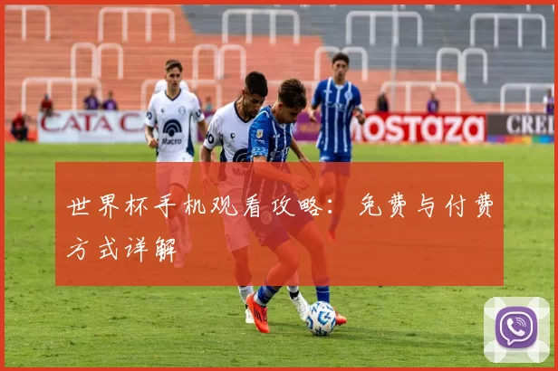 世界杯手机观看攻略：免费与付费方式详解