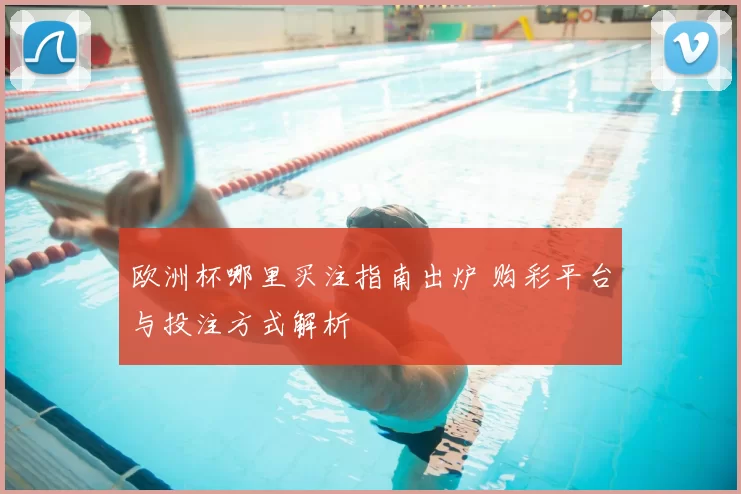 欧洲杯哪里买注指南出炉 购彩平台与投注方式解析