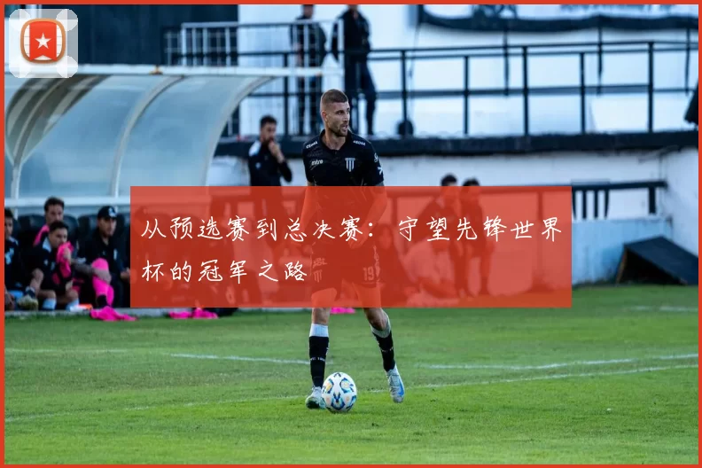 从预选赛到总决赛：守望先锋世界杯的冠军之路