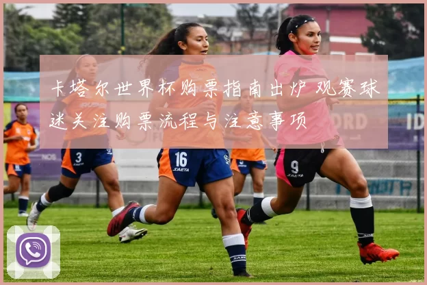 卡塔尔世界杯购票指南出炉 观赛球迷关注购票流程与注意事项