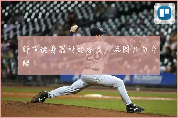 舒华健身器材的各类产品图片与介绍
