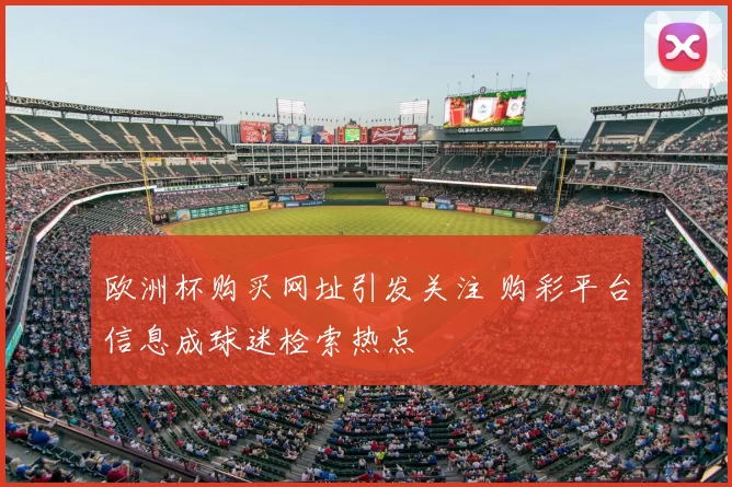 欧洲杯购买网址引发关注 购彩平台信息成球迷检索热点