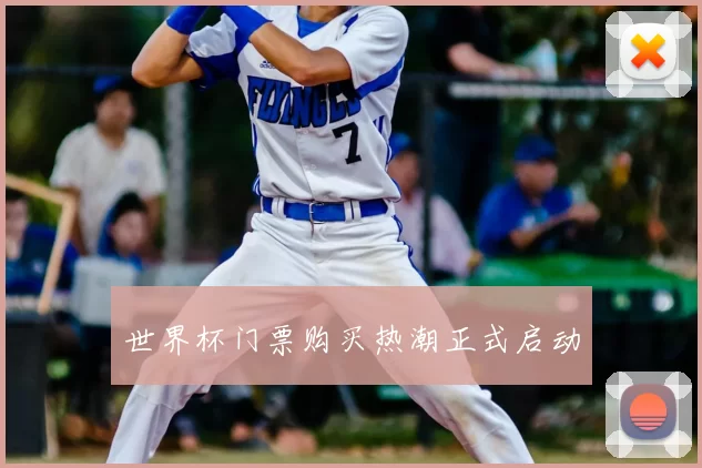 世界杯门票购买热潮正式启动
