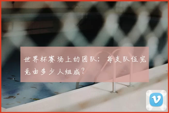 世界杯赛场上的团队：每支队伍究竟由多少人组成？