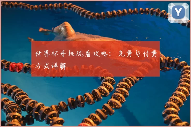 世界杯手机观看攻略：免费与付费方式详解