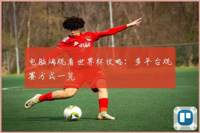 电脑端观看世界杯攻略:多平台观赛方式一览