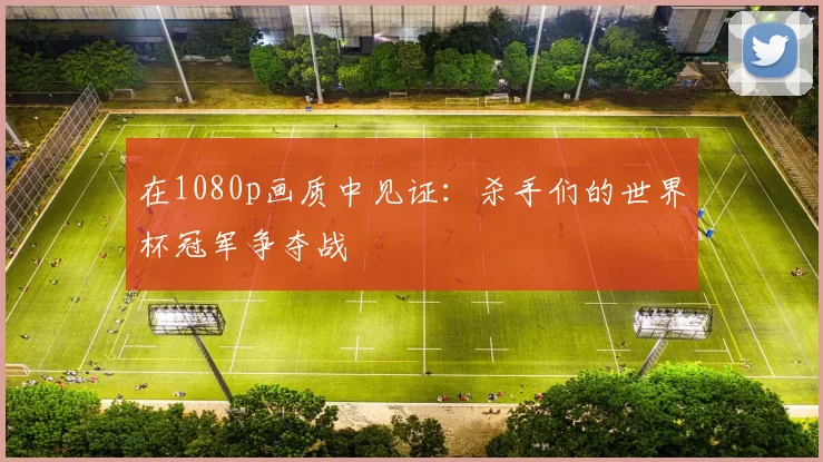 在1080p画质中见证：杀手们的世界杯冠军争夺战