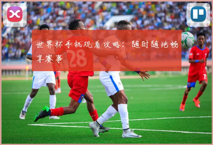 世界杯手机观看攻略：随时随地畅享赛事