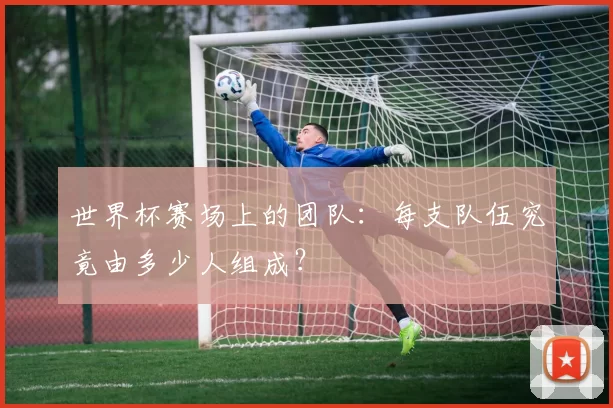 世界杯赛场上的团队：每支队伍究竟由多少人组成？
